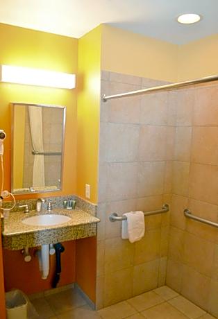 1 Queen Bed Mobility Accessible Room Non-Smoking