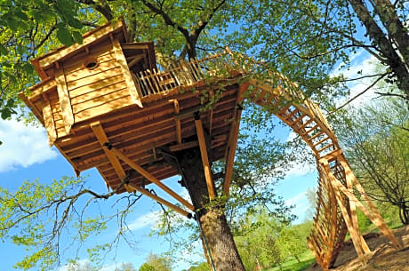 La Cabane du Vieux Chêne