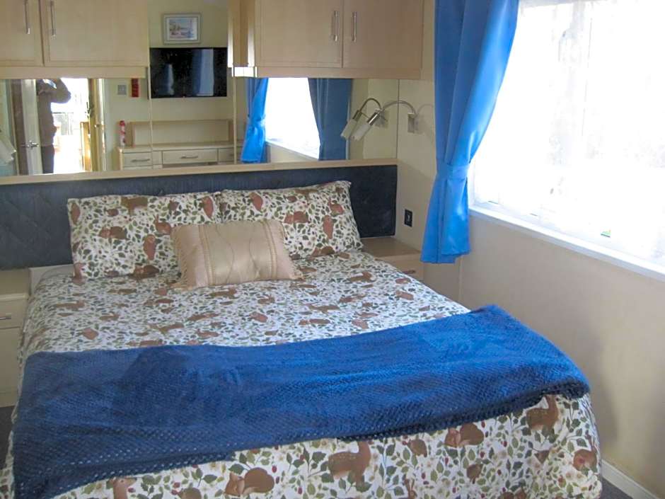 Violet 28 Oakdene Forest Park