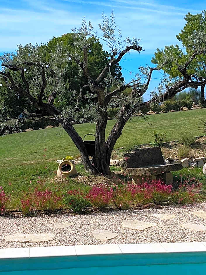 Chambre une fenêtre sur le Ventoux la Clue