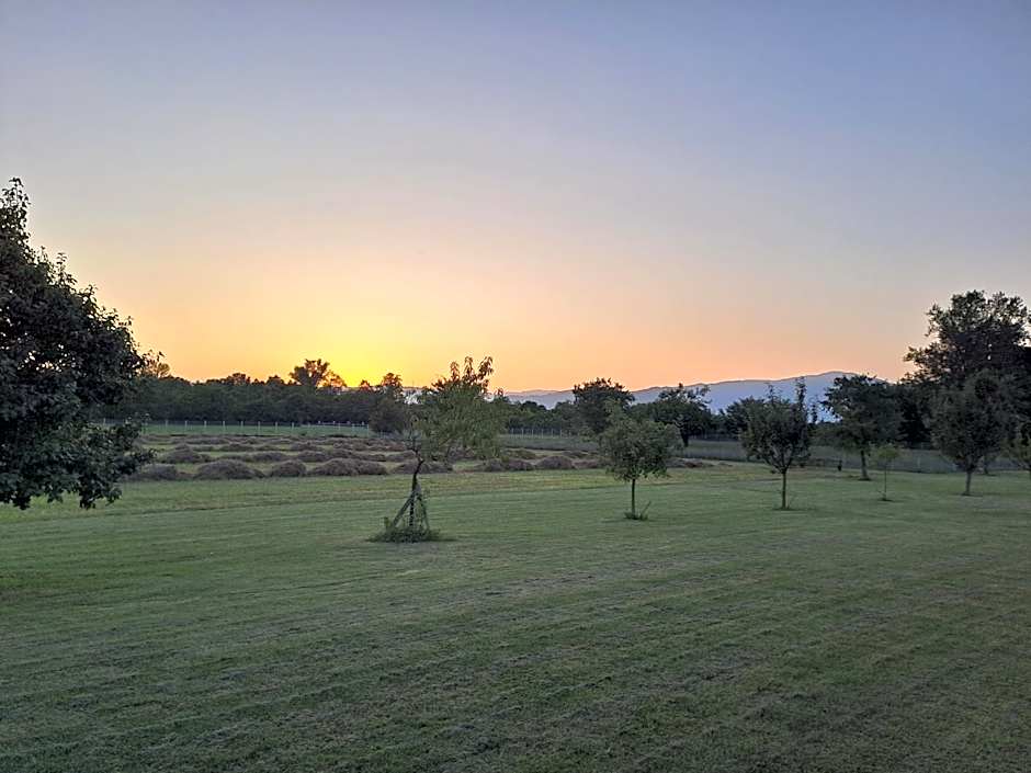 Azienda Agrituristica Ai Prai