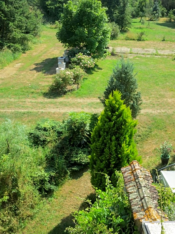 Chambres d'hôtes du Moulin de la Chaussee
