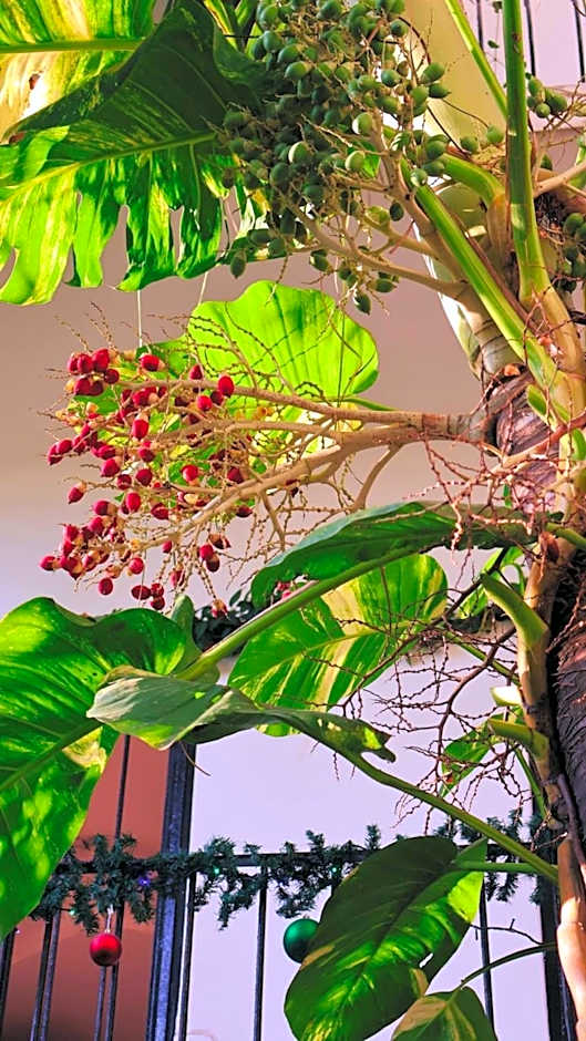 Casa Ana Ruth (Bucerias, Nay.)