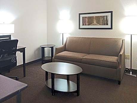 1 King Bed, Superior Suite, Non-Smoking