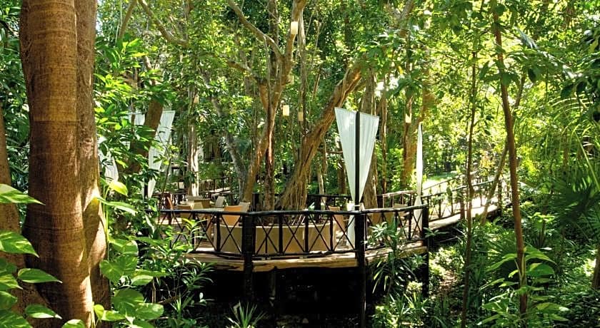 The Reef Playacar Resort & Spa-Optional All Inclusive