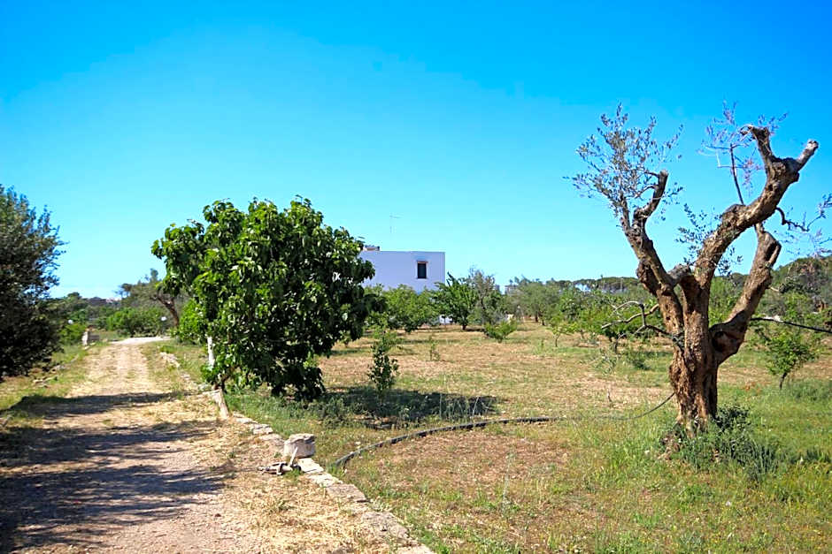 Tenuta Fontò