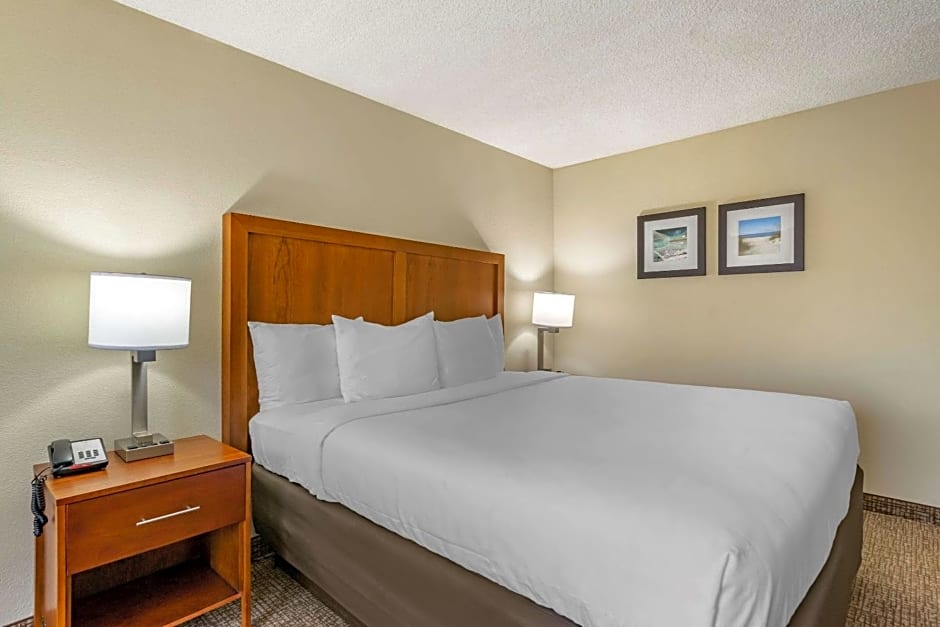 Comfort Inn & Suites St. Pete - Clearwater International Airport