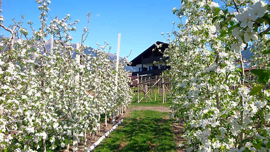 Pension Appartment Hecherhof