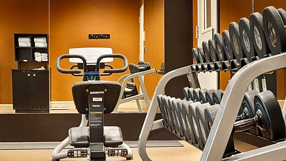 Hilton Garden Inn Houston/Galleria Area