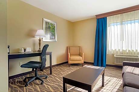 Larger King Suite with Sofa Bed