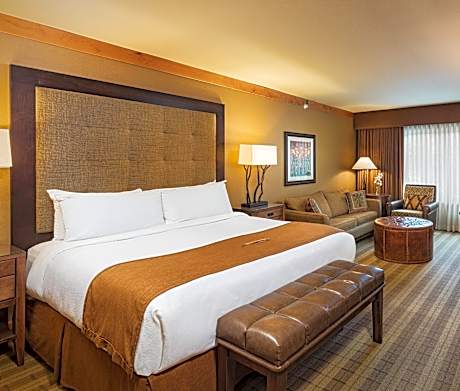 Studio with Sofa Bed