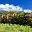 Hapuku Lodge & Tree Houses