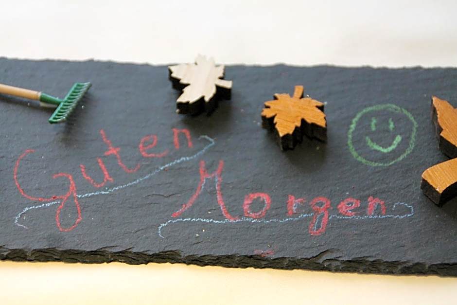 Trip Inn Hotel Zum Riesen Hanau