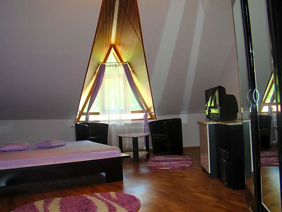 Pensiunea Floare de Colţ