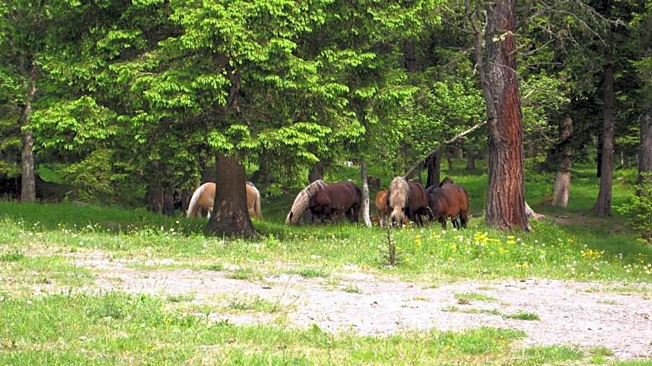 Alpengasthof Gutenbrunn