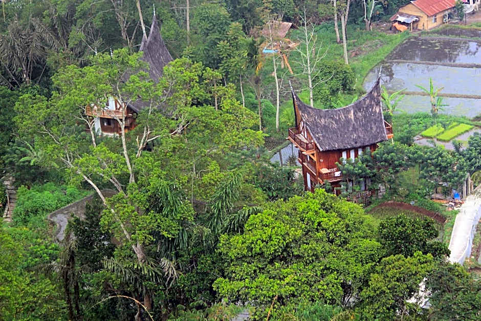 Padi Ecolodge