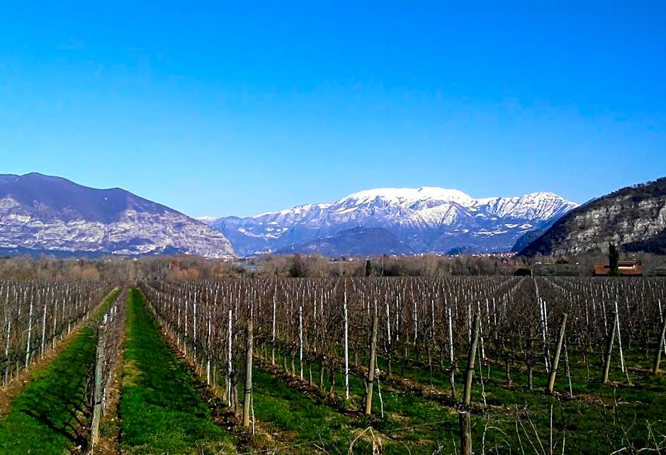Cascina San Martino