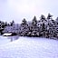 Cranmore Mountain Lodge Bed & Breakfast