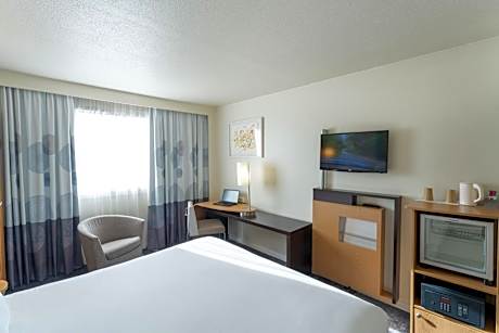 Superior Room with 1 king-size bed