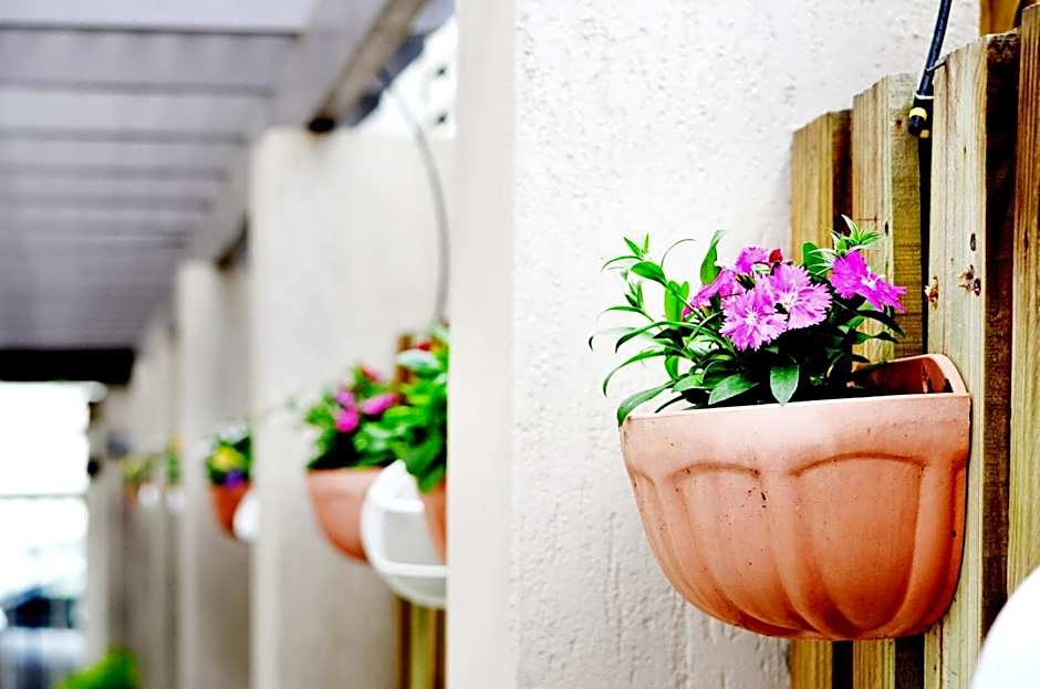 Spring Hill Mews Apartment