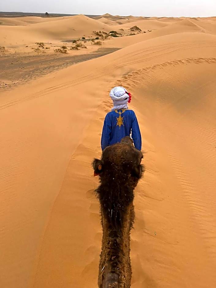 Desert Camel Trekking Camp