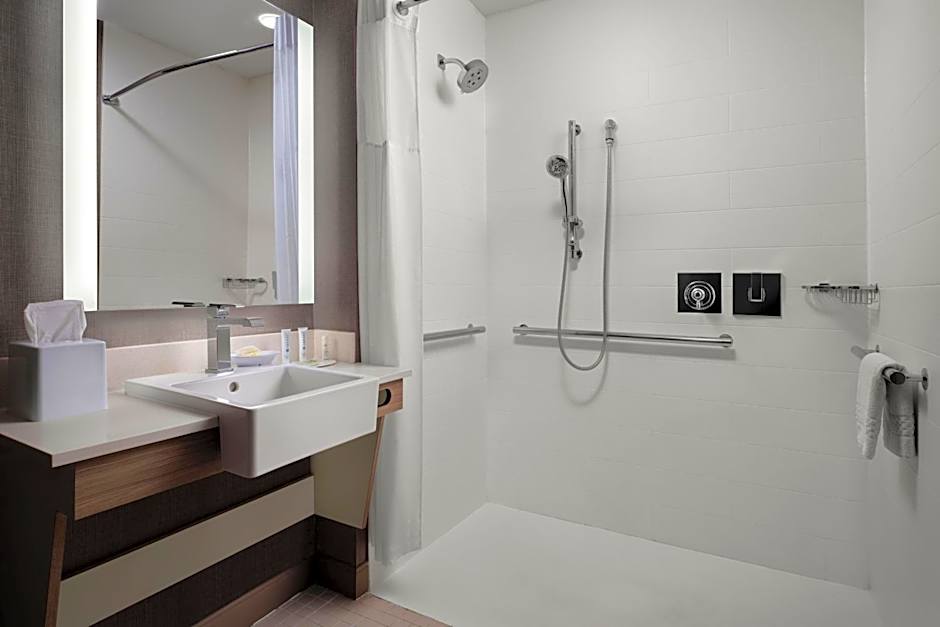 SpringHill Suites by Marriott New Orleans Downtown/Canal Street