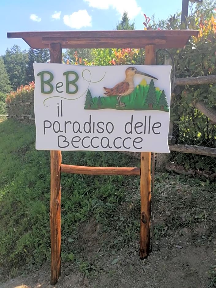 Il paradiso delle beccacce