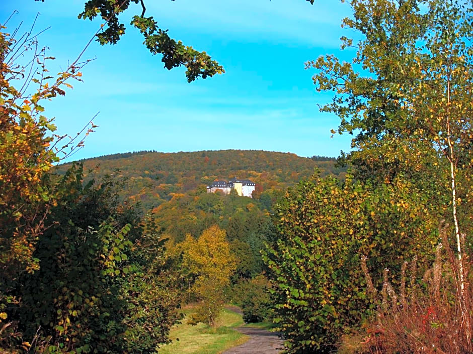 Hotel Zum weißen Stein