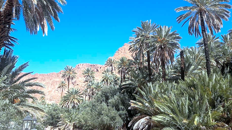 RIAD Camping ATLAS