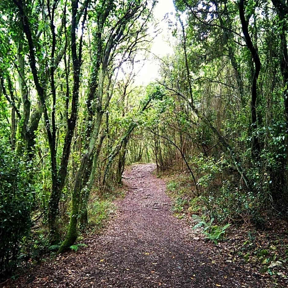 Andamur San Román