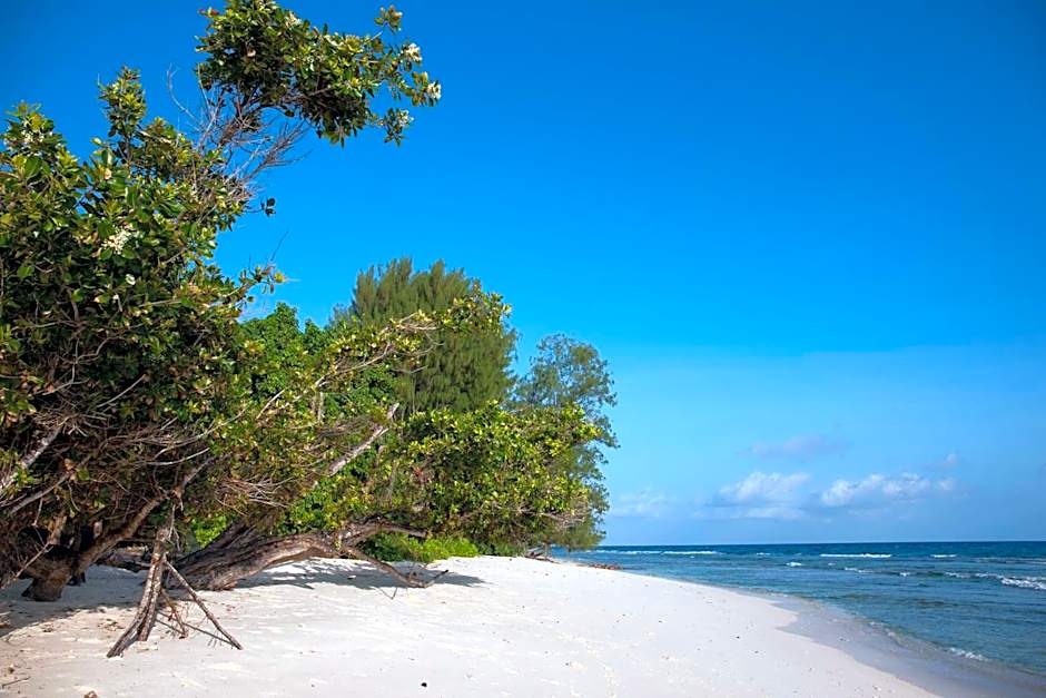 Le Relax Luxury Lodge