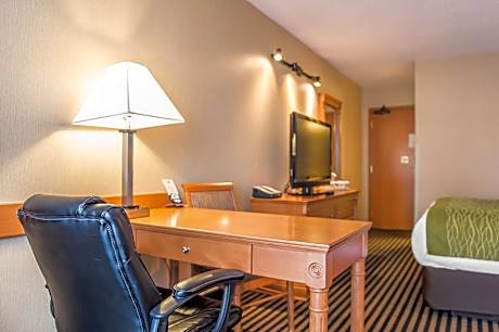 Standard Queen Room with Sofa Bed - Non-Smoking