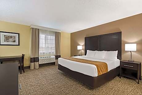 1 King Bed, Suite, Nonsmoking