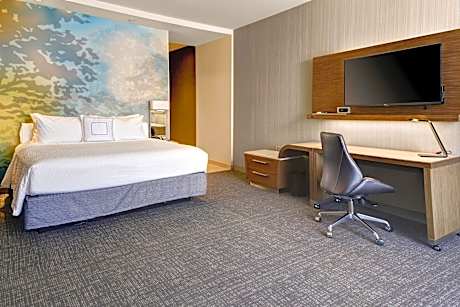 Executive, Larger Guest room, 1 King, Sofa bed