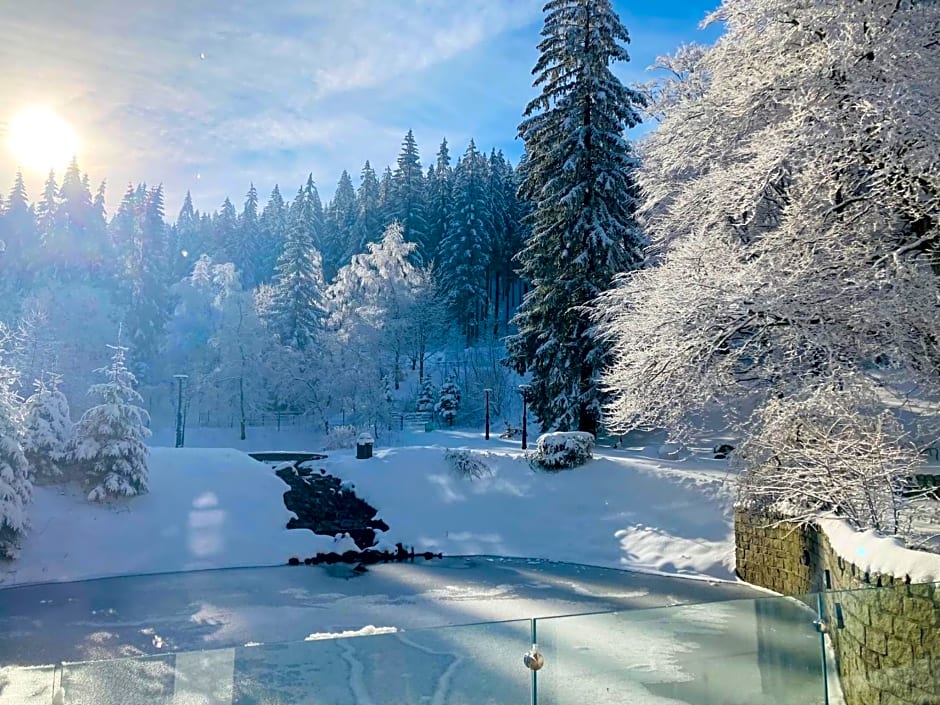 Jelenia Struga MEDICAL SPA