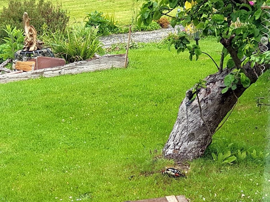 Kingsmede Bed & Breakfast