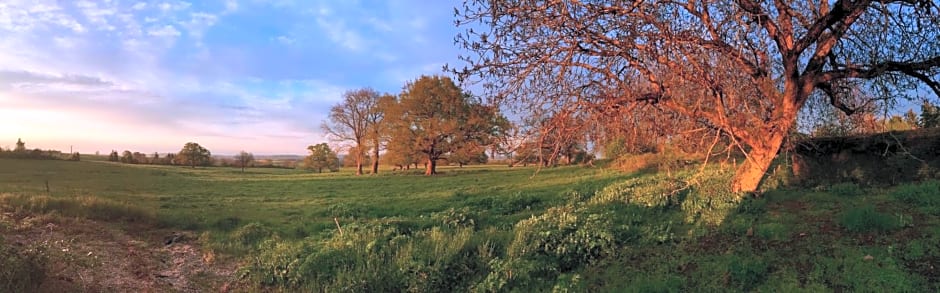 Chambre d'hotes Ferme de la Forlonge