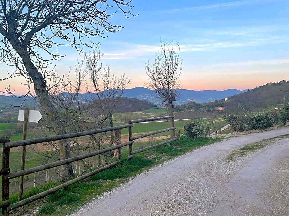 Agriturismo B&B La Cerasa