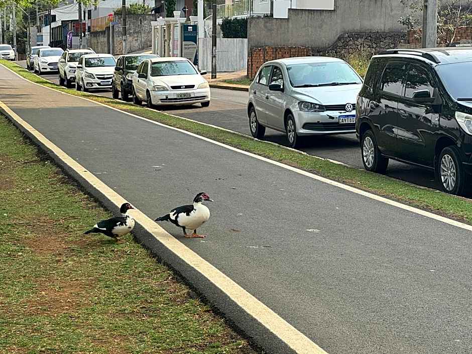 Studio com quarto e banheiro em frente ao Parque do Lago Acomoda até 2 pessoas 1 cama
