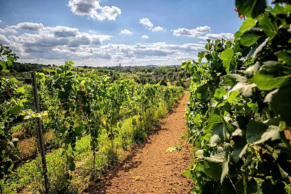 Hotel Niemcza Wino & Spa