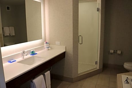 One-Bedroom King Suite with Lake View