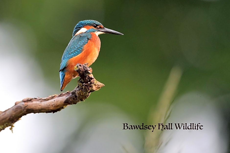 Bawdsey Hall