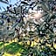 The Old Chaff Mill Organic Vineyard Retreat