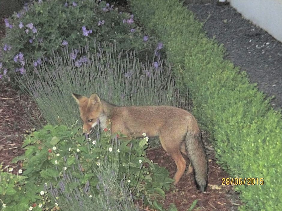 B&B Au fil des saisons sur la Wiels