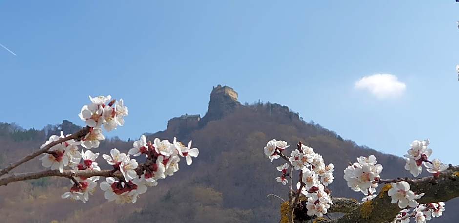 Donauwirt - Hotel garni