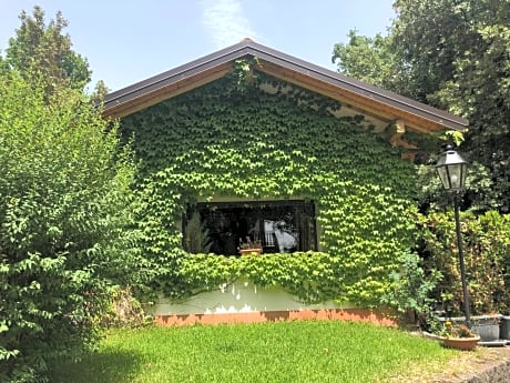 Studio with Garden View