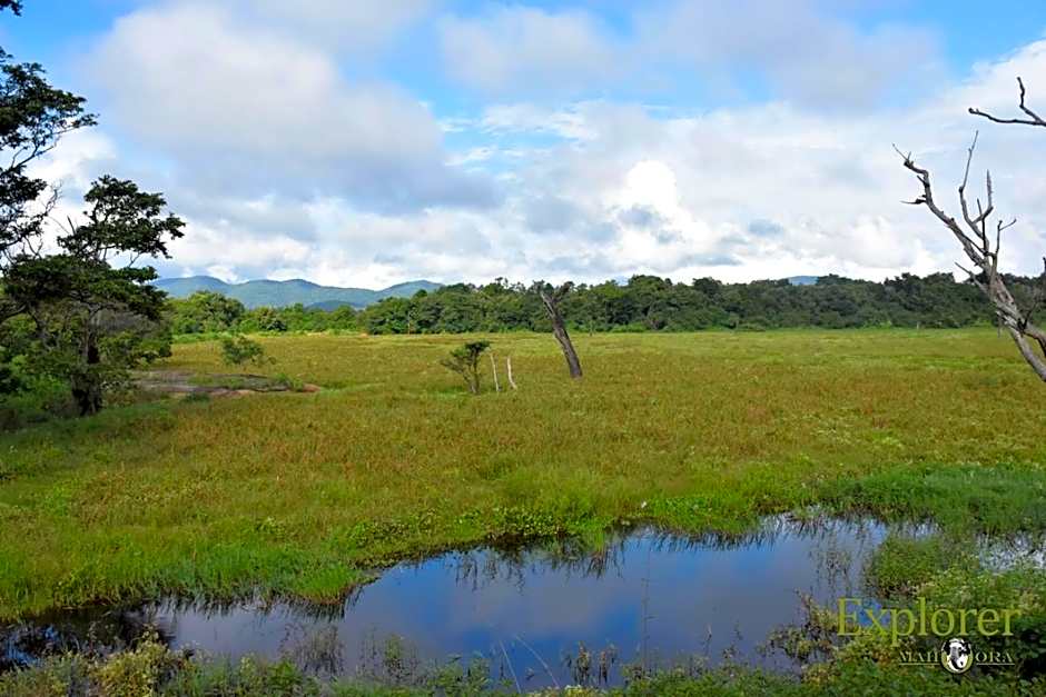 Explorer by Mahoora - Wasgamuwa