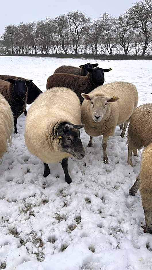Den Gamle Grænsekro Inn