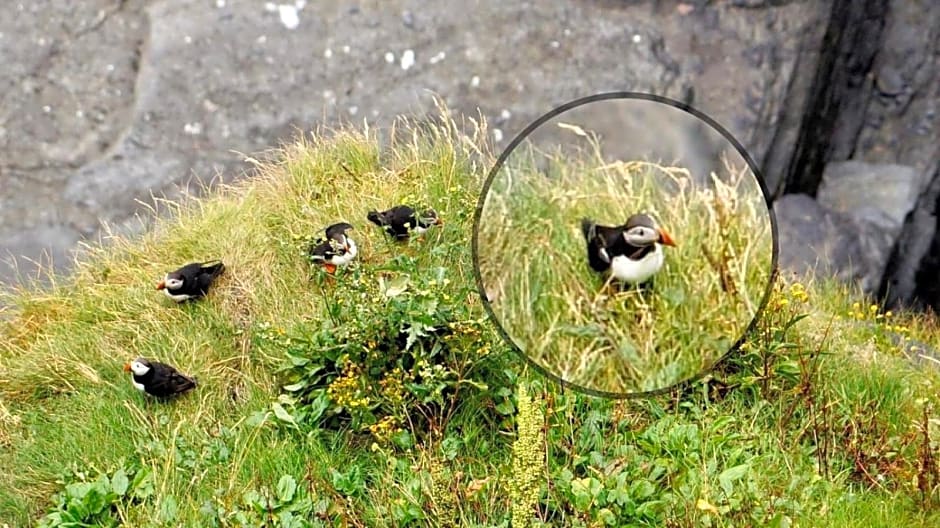 Ocean View Guestrooms