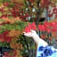 Kusatsu Onsen 326 Yamanoyu Hotel - Vacation STAY 10465v